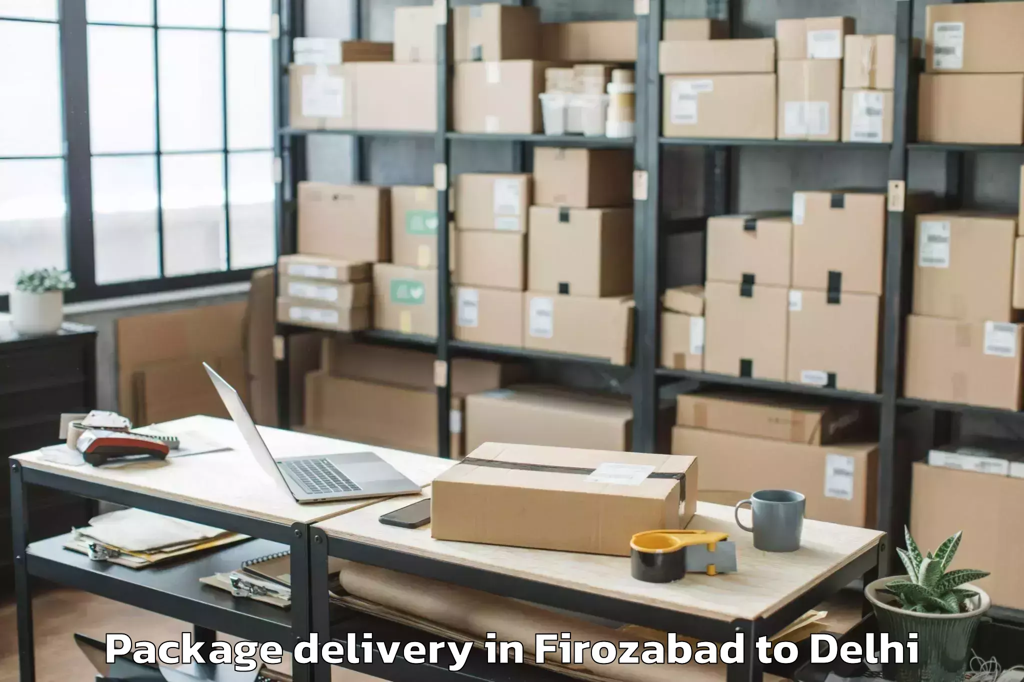 Professional Firozabad to Westend Mall Delhi Package Delivery